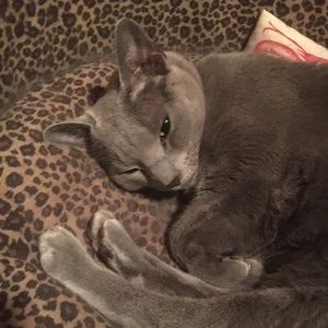 Meet your Posher, Cheryl